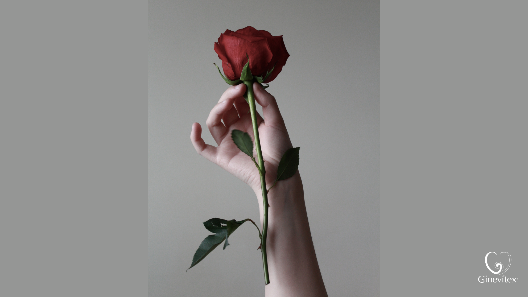 ferritina-salud-mujer